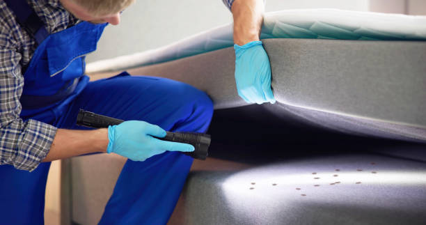 Reliable Callaway, FL Pest Control Solutions